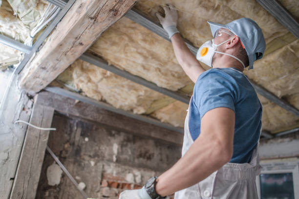 Best Insulation Maintenance and Repair in Estes Park, CO