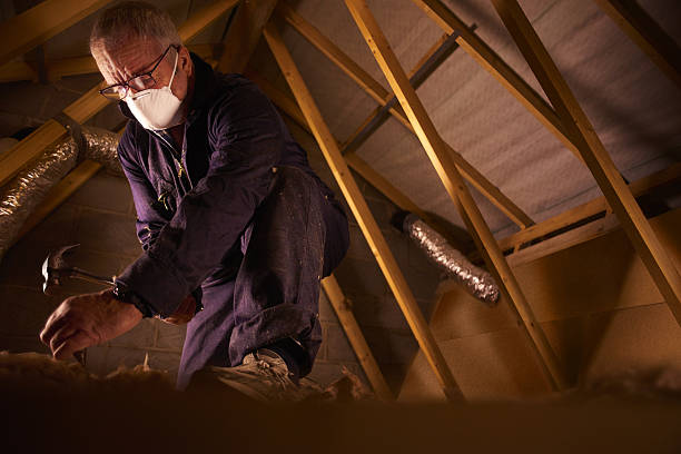 Best Geographic-Specific Insulation Services in Estes Park, CO
